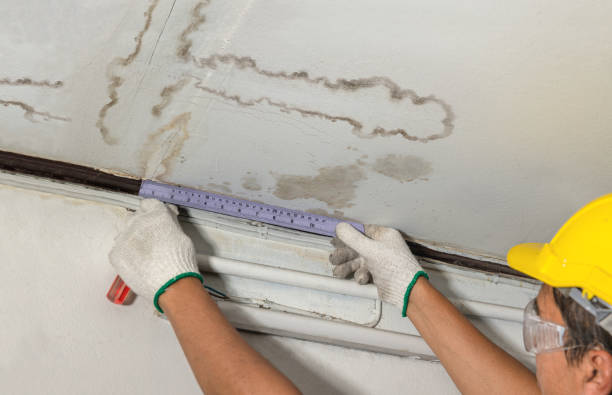 Reliable Mold Remediation contractor in White Plains, NC by Water Damage Irwin